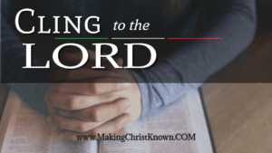 Joshua Advises the Leaders of Israel