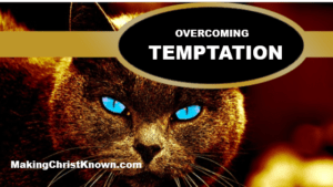 Rick Warren - Overcoming Temptation