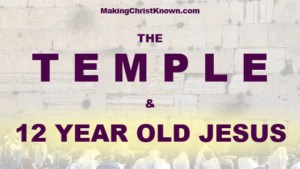 12 Year Old Jesus in the Temple